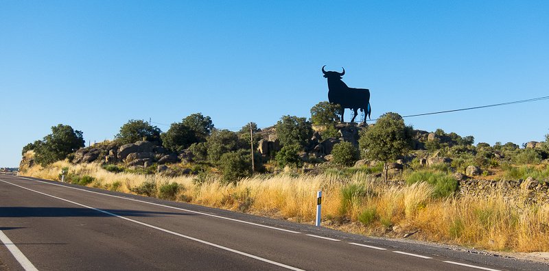 Orborne Bulls in Spanish roads