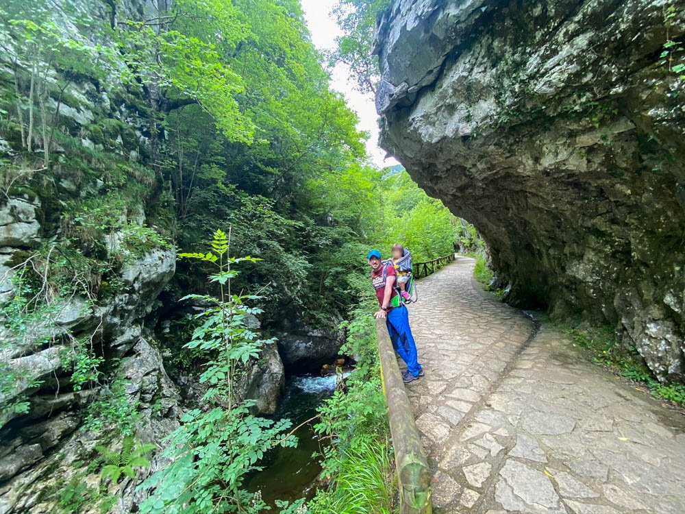 family walking in the path