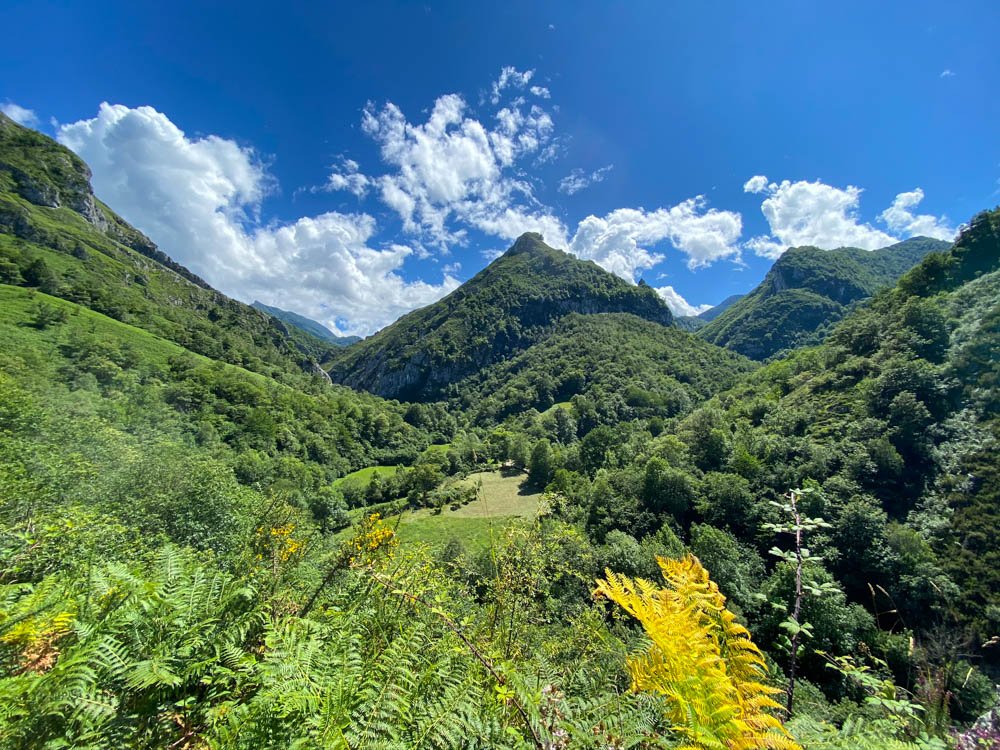 Vistas panorámicas del Parque Natural de Redes