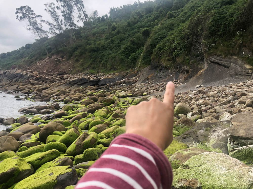 finger pointing at the ichnofossils location in the beach