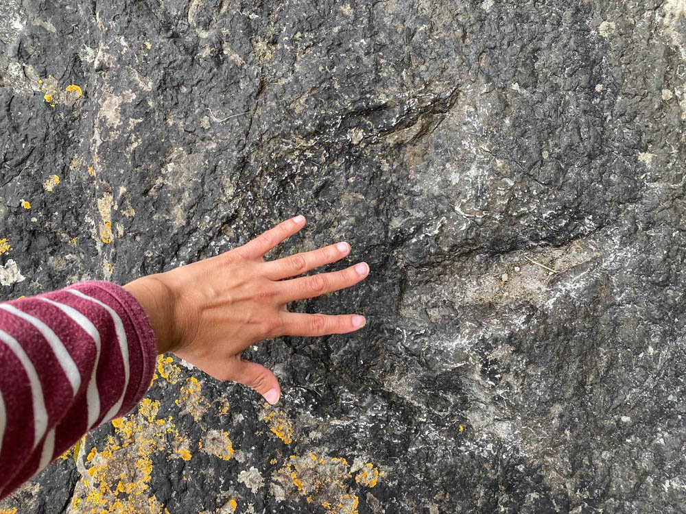 trydactile dinosaur footprint in the rock